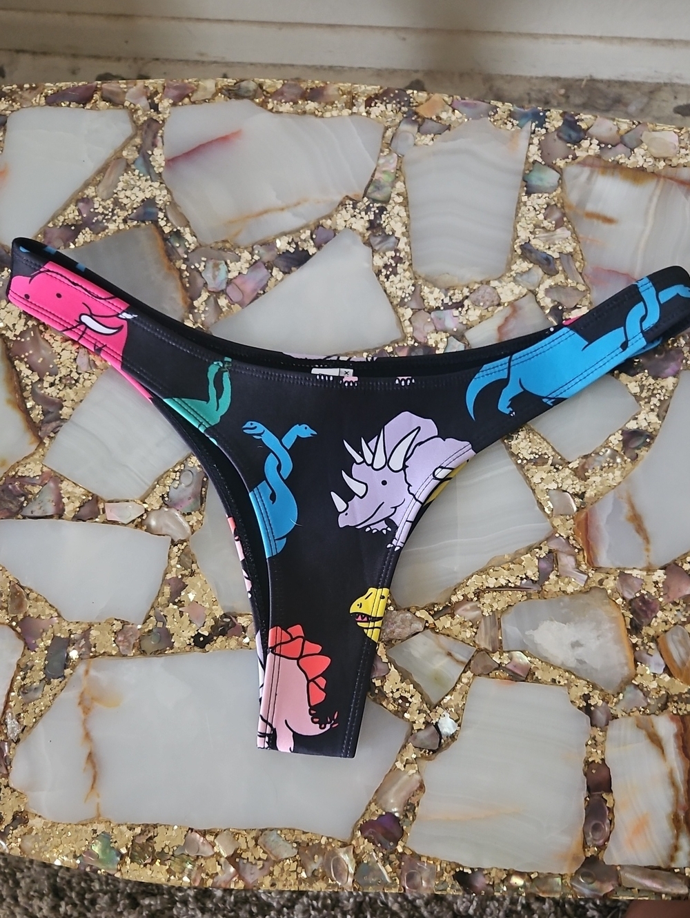 Black Bikini Bottom with Colorful Dinosaur Print